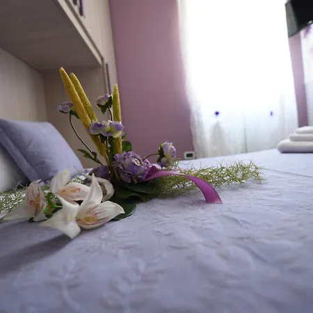 Eden Sassi ماتيرا